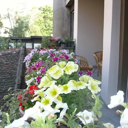 Deligradska *