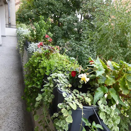 Deligradska Apartment *
